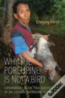 Why The Porcupine Is Not A Bird