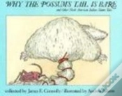Capa do artigo Why The Possum