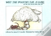 Capa do artigo Why The Possum