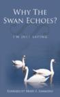 Why The Swan Echoes? : I'M Just Saying - Preview