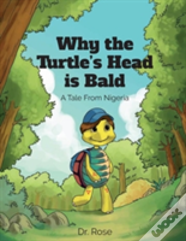 Why The Turtle'S Head Is Bald