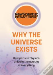 Why The Universe Exists