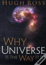 Why The Universe Is The Way It Is
