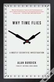 Capa do artigo Why Time Flies