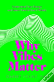 Capa do artigo Why Vibes Matter