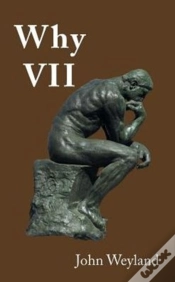 Capa do artigo Why Vii