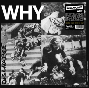 Capa do artigo Why - Vinil