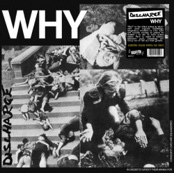 Capa do artigo Why - Vinil