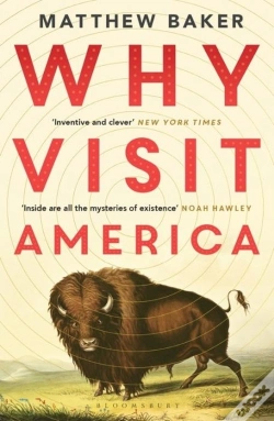 Capa do artigo Why Visit America