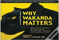 Why Wakanda Matters
