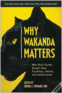 Capa do artigo Why Wakanda Matters