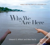 Capa do artigo Why We Are Here