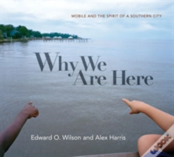 Capa do artigo Why We Are Here