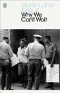 Why We Can'T Wait - Preview