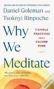 Capa do artigo Why We Meditate