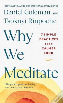 Capa do artigo Why We Meditate