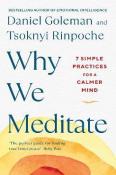 Why We Meditate