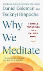 Why We Meditate - Preview