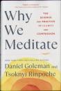 Why We Meditate - Preview