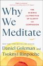 Why We Meditate - Preview