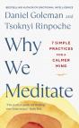 Why We Meditate - Preview