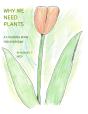 Why We Need Plants - Preview