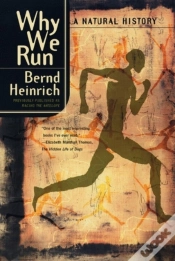 Capa do artigo Why We Run