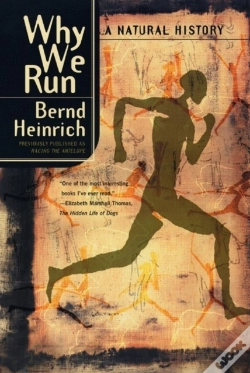 Capa do artigo Why We Run