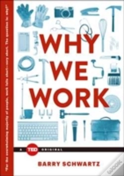 Capa do artigo Why We Work