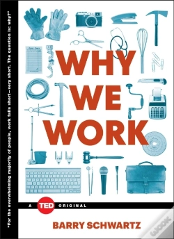 Capa do artigo Why We Work