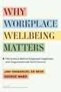 Why Workplace Wellbeing Matters - Preview