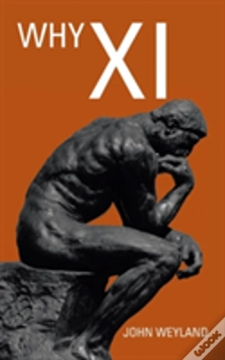 Capa do artigo Why Xi