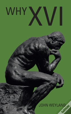 Capa do artigo Why Xvi