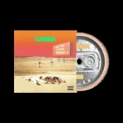 Capa do artigo Why You Lacking Energy? - CD