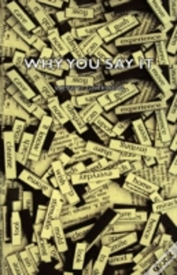 Capa do artigo Why You Say It