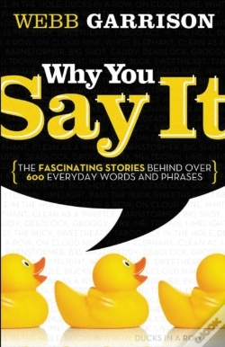 Capa do artigo Why You Say It