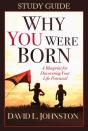Why You Were Born Study Guide - Preview