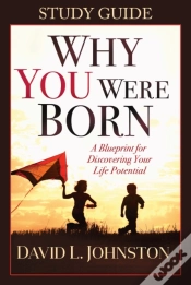 Capa do artigo Why You Were Born Study Guide