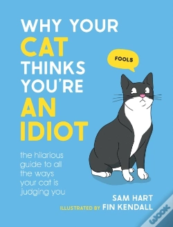 Capa do artigo Why Your Cat Thinks You'Re An Idiot