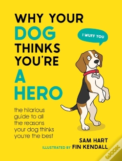Capa do artigo Why Your Dog Thinks You'Re A Hero
