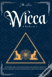 Capa do artigo Wicca