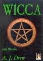 Wicca para Homens - Preview