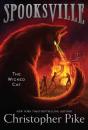 Wicked Cat - Preview