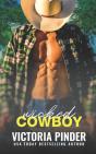 Wicked Cowboy - Preview