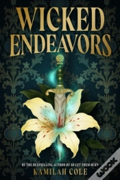 Capa do artigo Wicked Endeavors