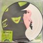 Wicked (Original Broadway Cast Recording) - Vinil - Preview