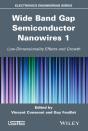 Wide Band Gap Semiconductor Nanowires 1 - Preview