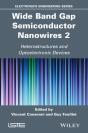 Wide Band Gap Semiconductor Nanowires 2 - Preview