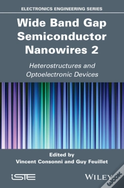 Capa do artigo Wide Band Gap Semiconductor Nanowires 2