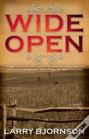 Capa do artigo Wide Open